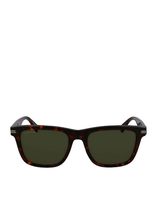 Lacoste Sunglasses Brown with Horn-Rimmed Frame Lacoste Sunglasses Brown with Horn-Rimmed Frame