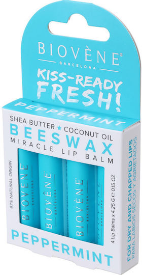 Lippenbalsam Bienenwachs Minze – Frische Schutz 4 Stück