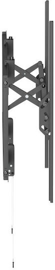 Reflecta Plano Flat Wandmontage TV-Halterung