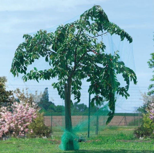 Plasă De Protecție Împotriva Păsărilor 5x10m