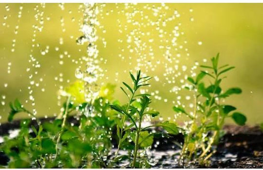 Micro Drip Irrigation System 71 Pieces 23 M Hose Filter Adjustment Valve Garden Beds Greenhouse