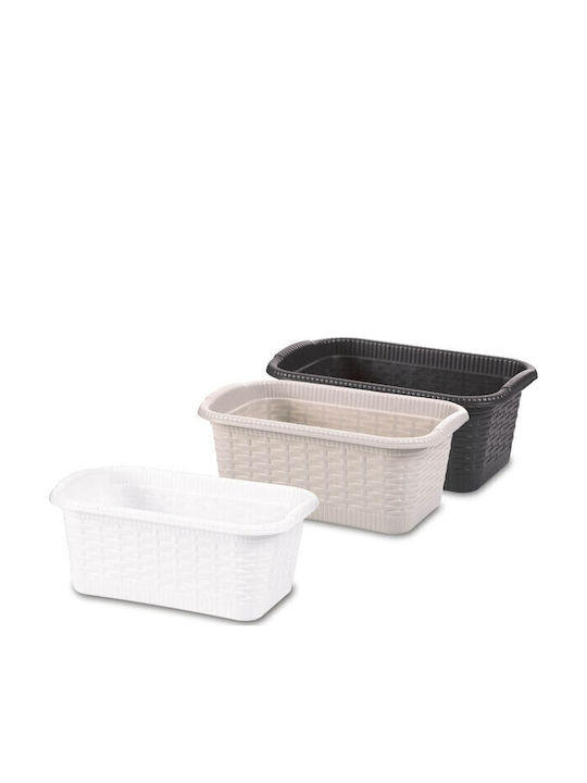 Gensini Кошница За Съхранение Rattan Бяла 2l