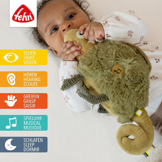 Fehn Activity Gym with Music for Newborns