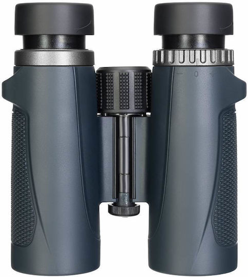 Levenhuk Levenhuk Karma Plus 10x32mm Dach Fernglas