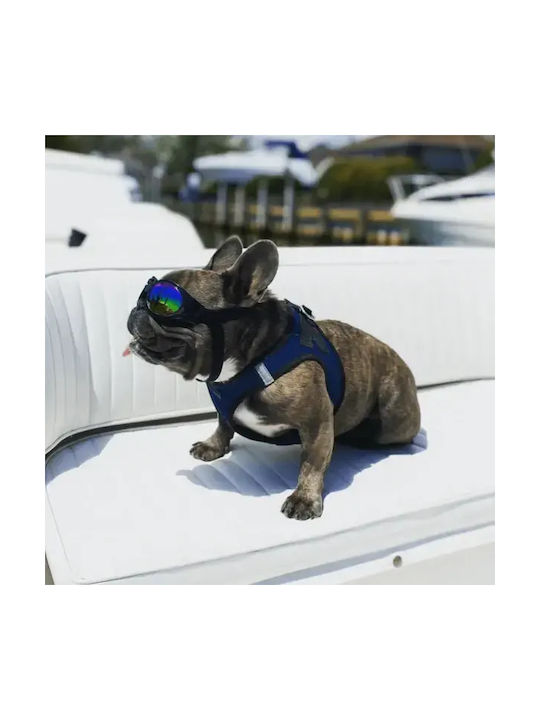 K9 Sport Shades Blau Für Hundehalsbänder
