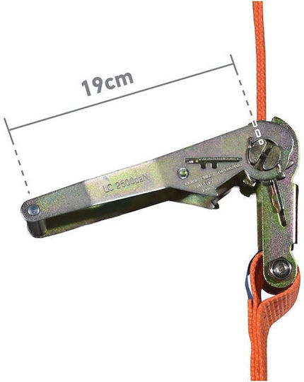 Express Curea 100x100cm cu curele de bagaje auto Greutate maximă de remorcare 4T 1buc
