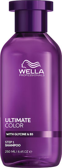 Wella Make It Last Ultimate Color Σετ Περιποίησης Μαλλιών Διατήρησης Χρώματος για Βαμμένα Μαλλιά με Σαμπουάν & Μάσκα 2τμχ