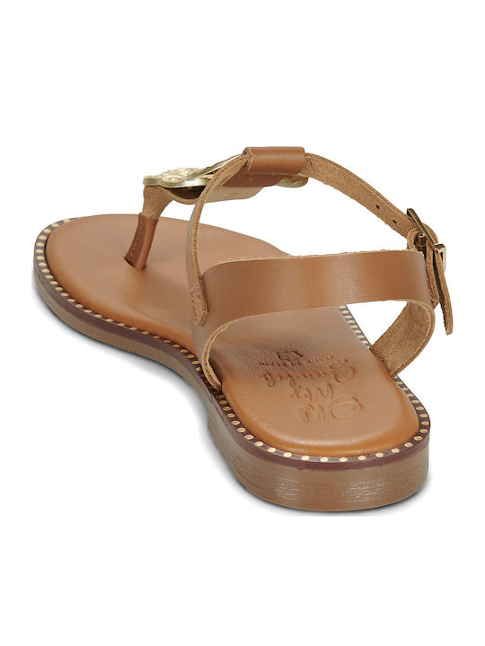 Women's Flat Sandals Brown