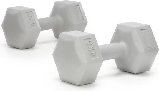 Hexagon Dumbbell 1 x 4kg