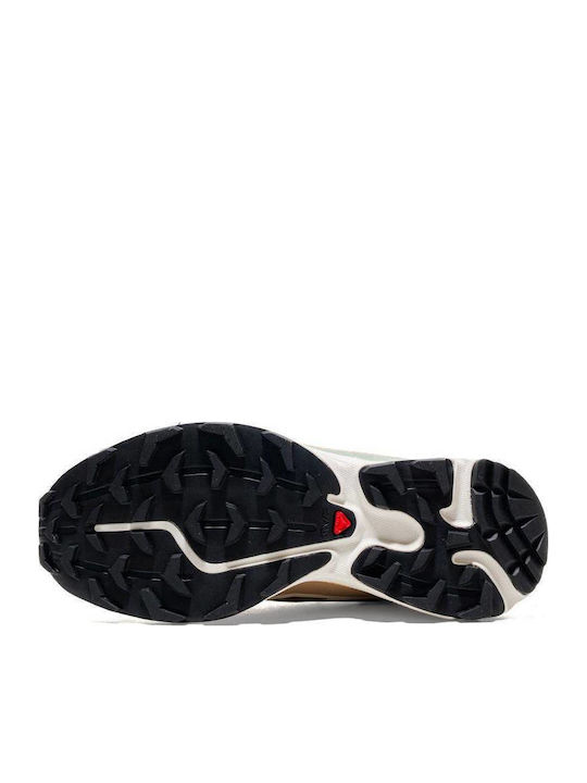 Damen Sneakers Braun