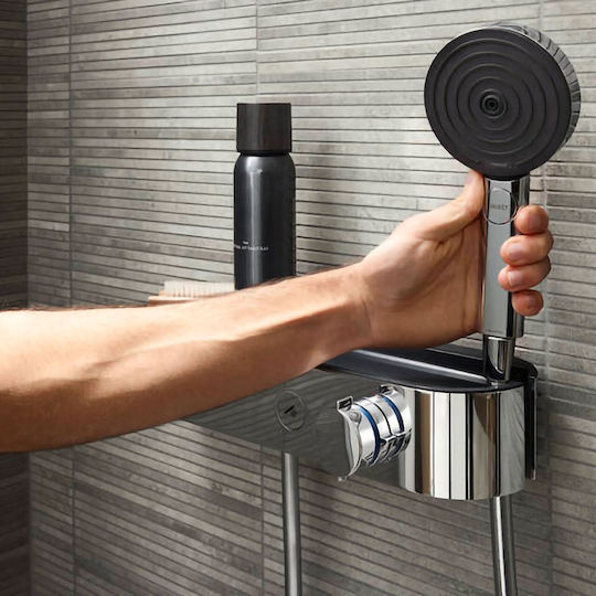 Hansgrohe Handheld Showerhead