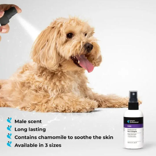 Parfüm Groom Professional Duke 100ml