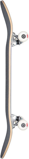 Globe Complete Shortboard