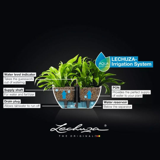 Lechuza Color 10 Lechuza Color 10