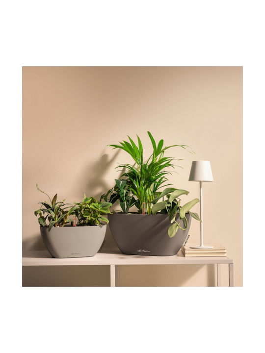 Lechuza Self-watering Flower Pot Slate 39x19x18cm