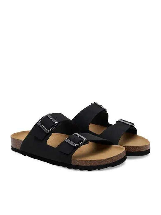 Scholl Scholl