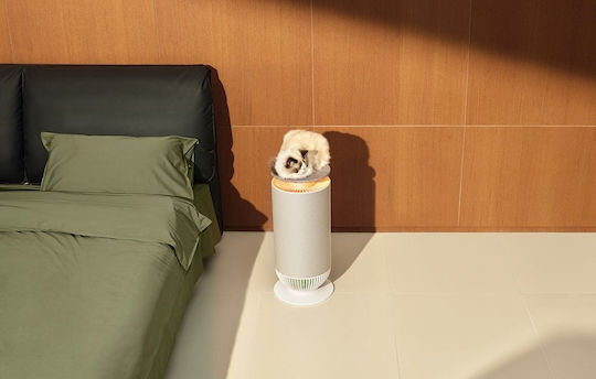 Mova P10 Luftreiniger 36W