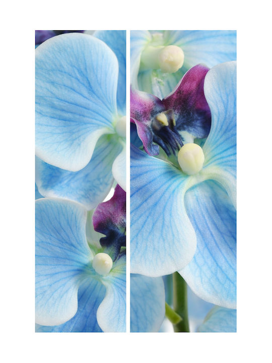 Orchid Phalaenopsis Light Blue Stem 0x0x97cm Monochrome Evergreens