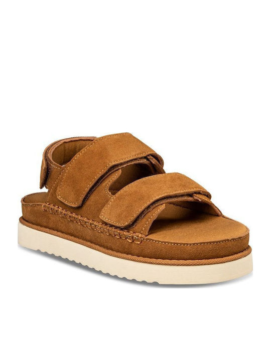 Envie Shoes