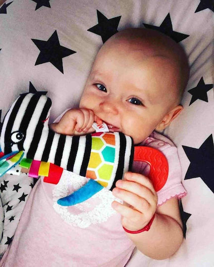 Hencz Baby Toy made of Fabric with Sounds for 0++ Months