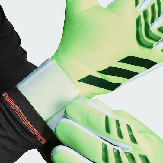 adidas Predator Gl Lge Torwarthandschuhe Erwachsene Gelb