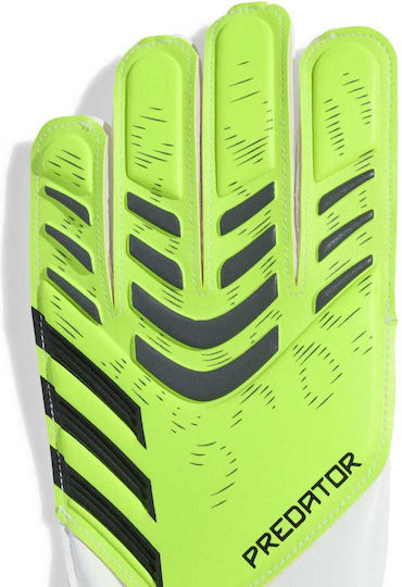 adidas Predator Training Голмански ръкавици Детски Зелени