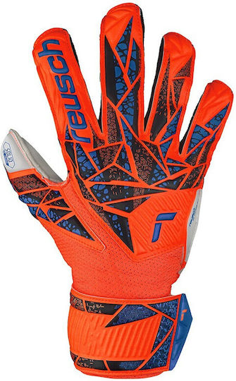 Reusch Attrakt Solid Finger Support Kids Goalkeeper Gloves Multicolour