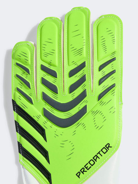 adidas Predator Training Γάντια Τερματοφύλακα Παιδικά Πράσινα
