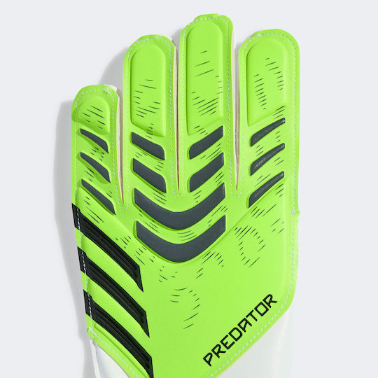 adidas Predator Training Голмански ръкавици Детски Зелени