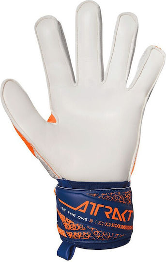Reusch Attrakt Solid Adults Goalkeeper Gloves White