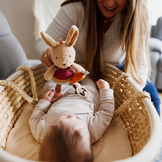 Babyono Pendant Toy for Cot and Stroller for Newborns