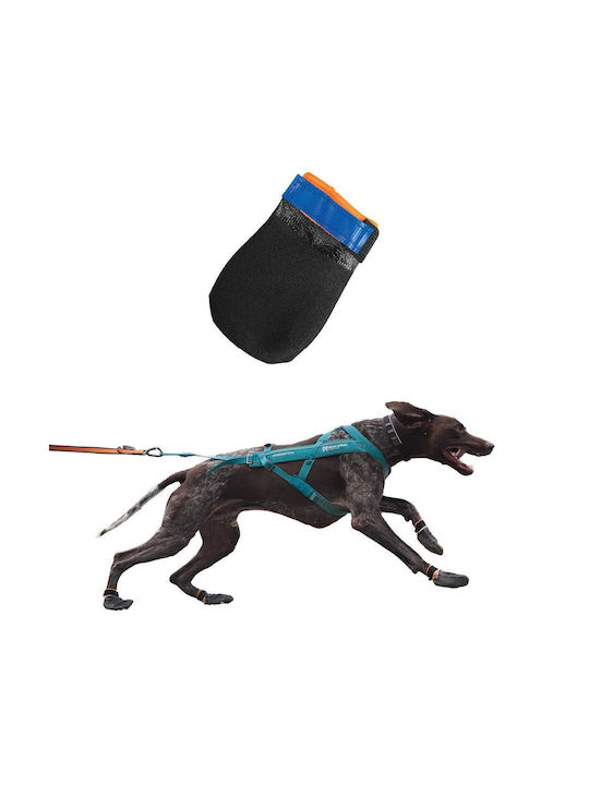 Botosei Protector Non-stop Dogwear _ Botosei de Protecție Xs Lățime 3-4cm