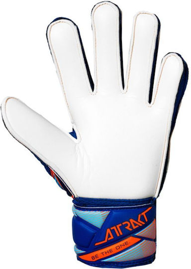 Reusch Γάντια Τερματοφύλακα Παιδικά Μπλε