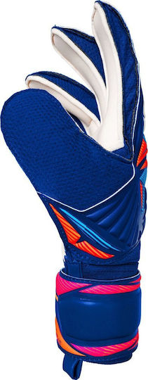 Reusch Goalkeeper Gloves Adults Blue