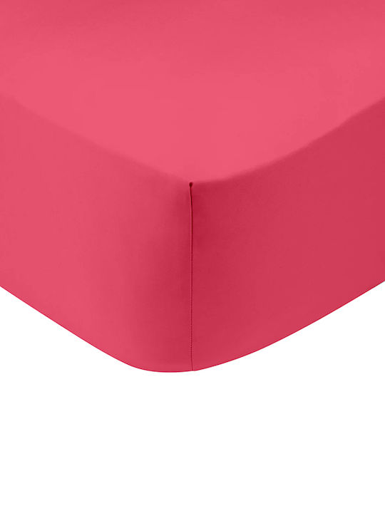 Sunshine Sheet Super-Double with Elastic 160x200+30cm. Cotton Feelings Fuchsia