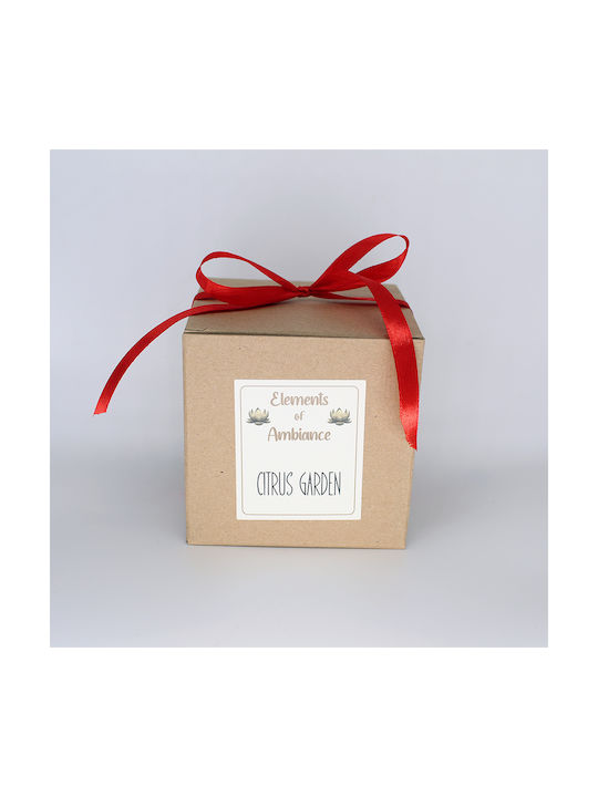 Citrus Garden Soy Candle 260g