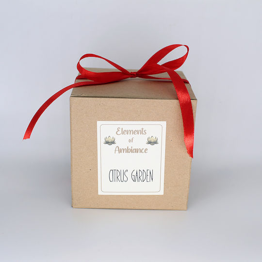 Citrus Garden Soy Candle 260g Citrus Garden Soy Candle 260g