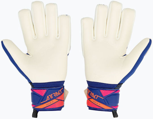 Reusch Kinder Torwarthandschuhe Gold