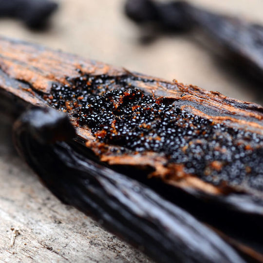 Fragrance Oil Vanilla 10ml