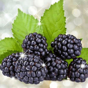 Fragrance Oil Blackberry 10ml