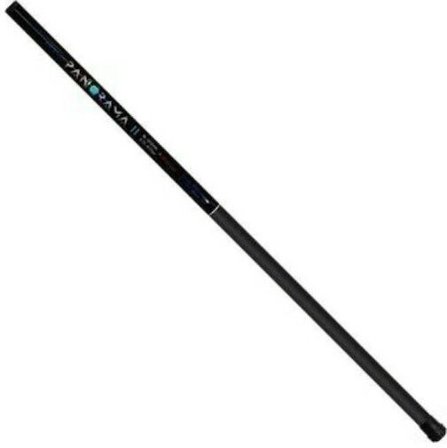 Pregio Panorama Καλάμι Ψαρέματος για Απίκο 3m 10-40gr