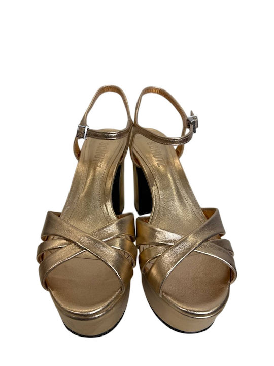 Schutz
