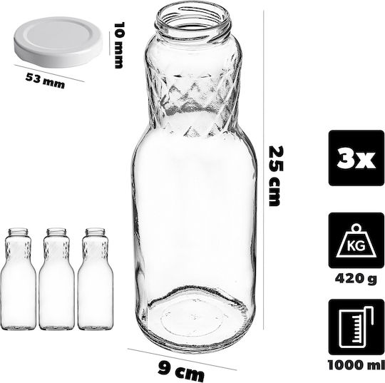 Kadax Glas Wasserflasche mit Schraubdeckel Transparent 1000ml 3 Stücke