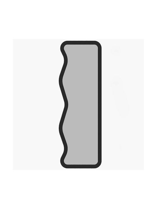 Asel Wall Mirror 116sam1180 50x2.2x160cm Black Hanah Home MDF