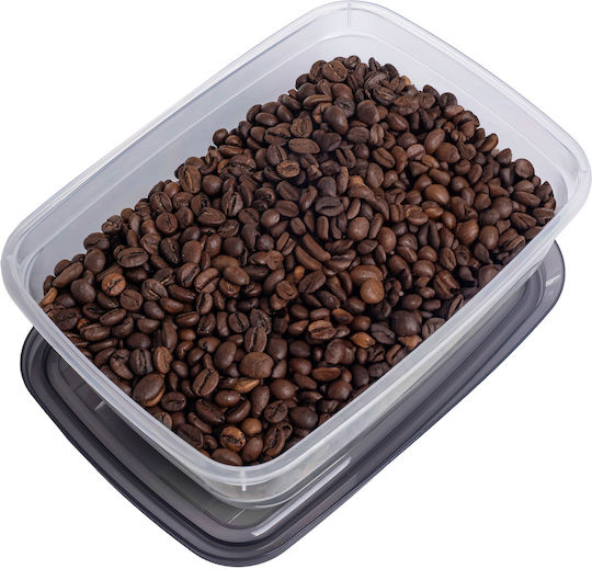 Curver Lunch Box Plastic Gray 1.3lt