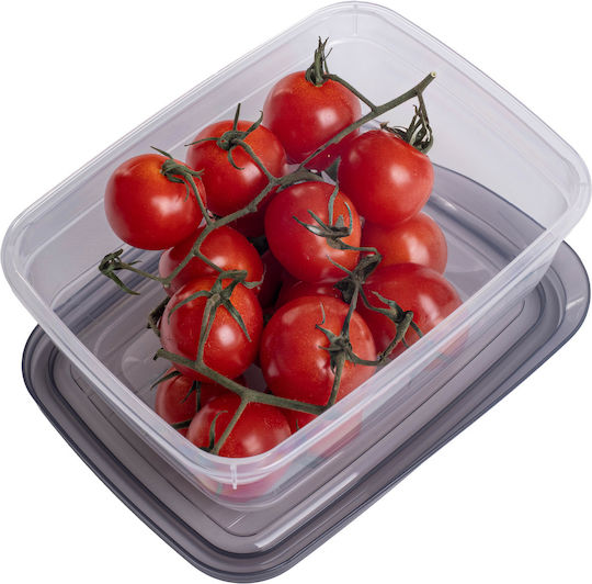 Curver Lunch Box Plastic Gray 750ml