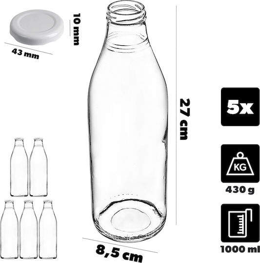 Kadax Glas Wasserflasche mit Schraubdeckel Transparent 1000ml 5 Stücke
