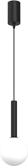 Eko Light Pendant Light Black 10x10cm