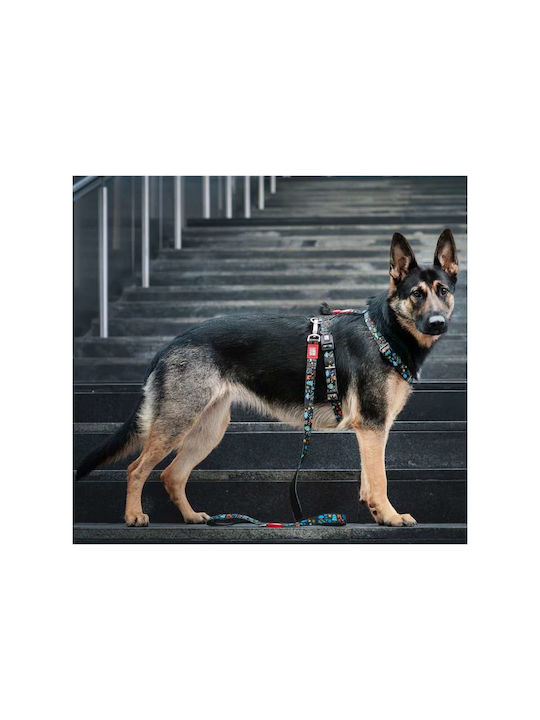 Max Molly Кучешки Повод – Kindergarten Medium 42x60см
