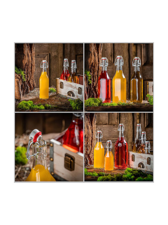 Kadax Glas Wasserflasche mit Clip Transparent 500ml 5 Stücke